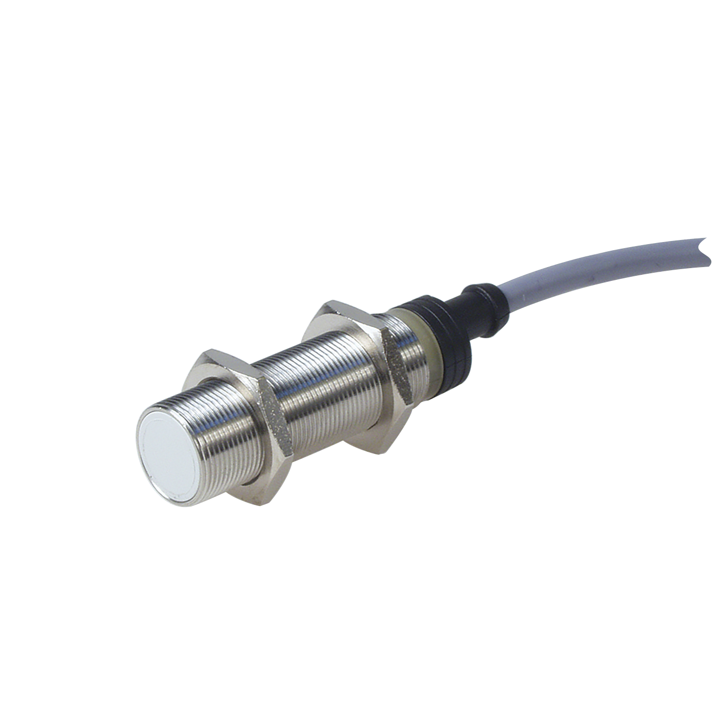 EI1805_P_SL.png