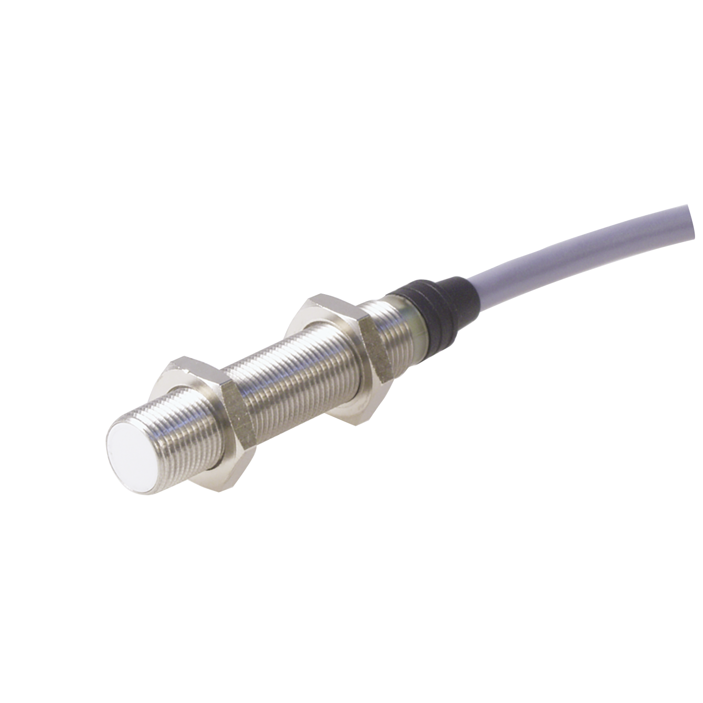 EI1202_P_SL.png