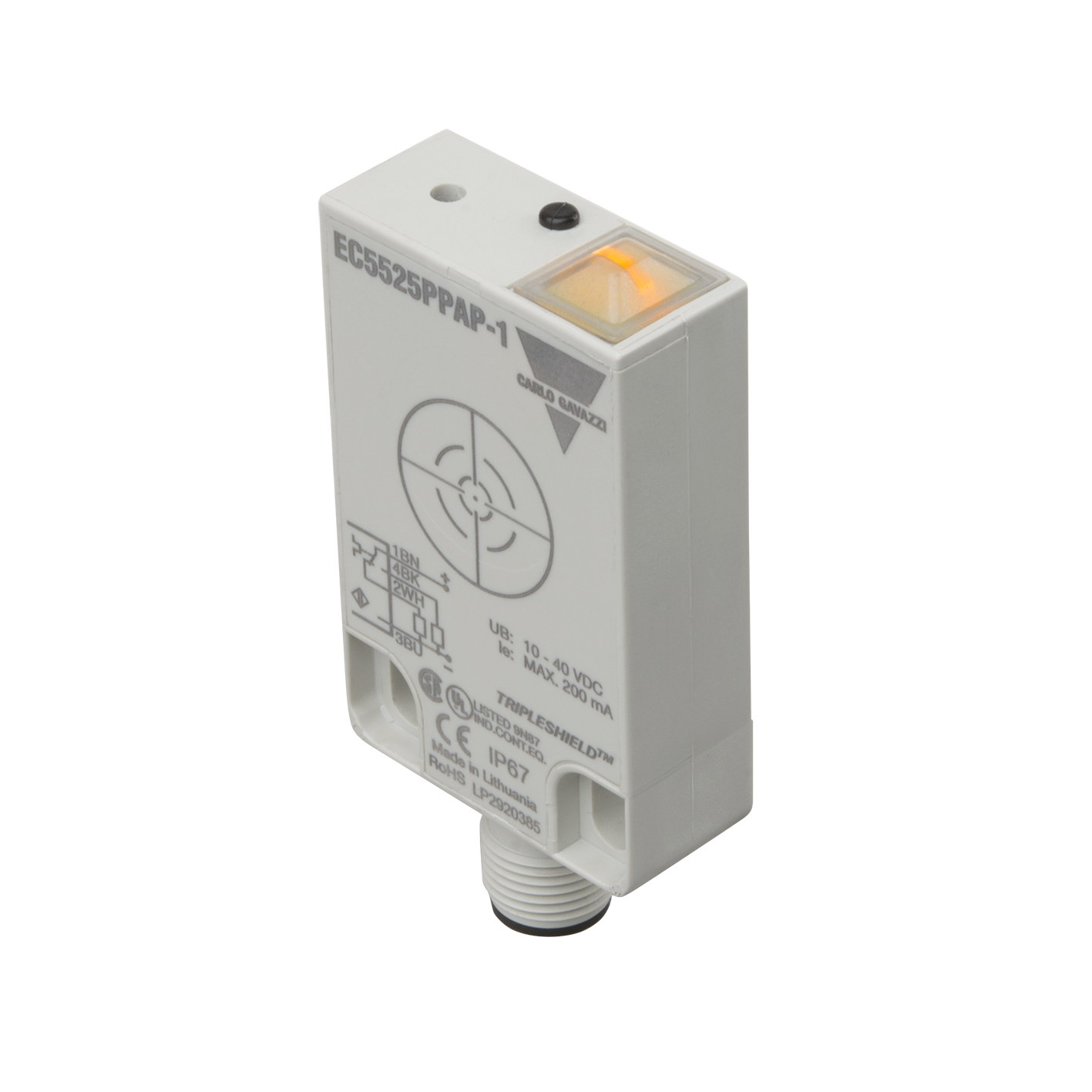EC5525PPAP-1_12x12.png