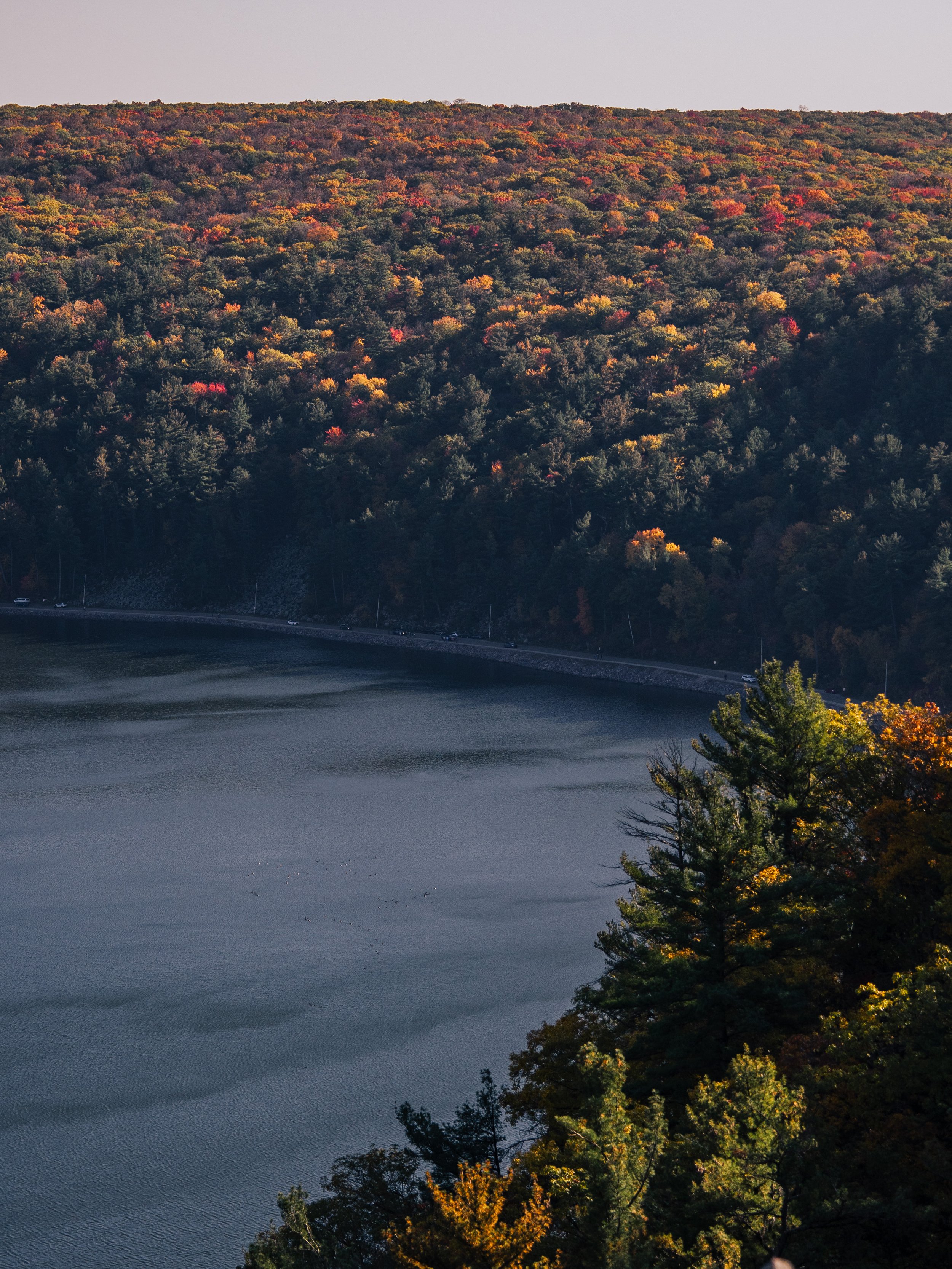 Autumn Glow Color Grading Lut