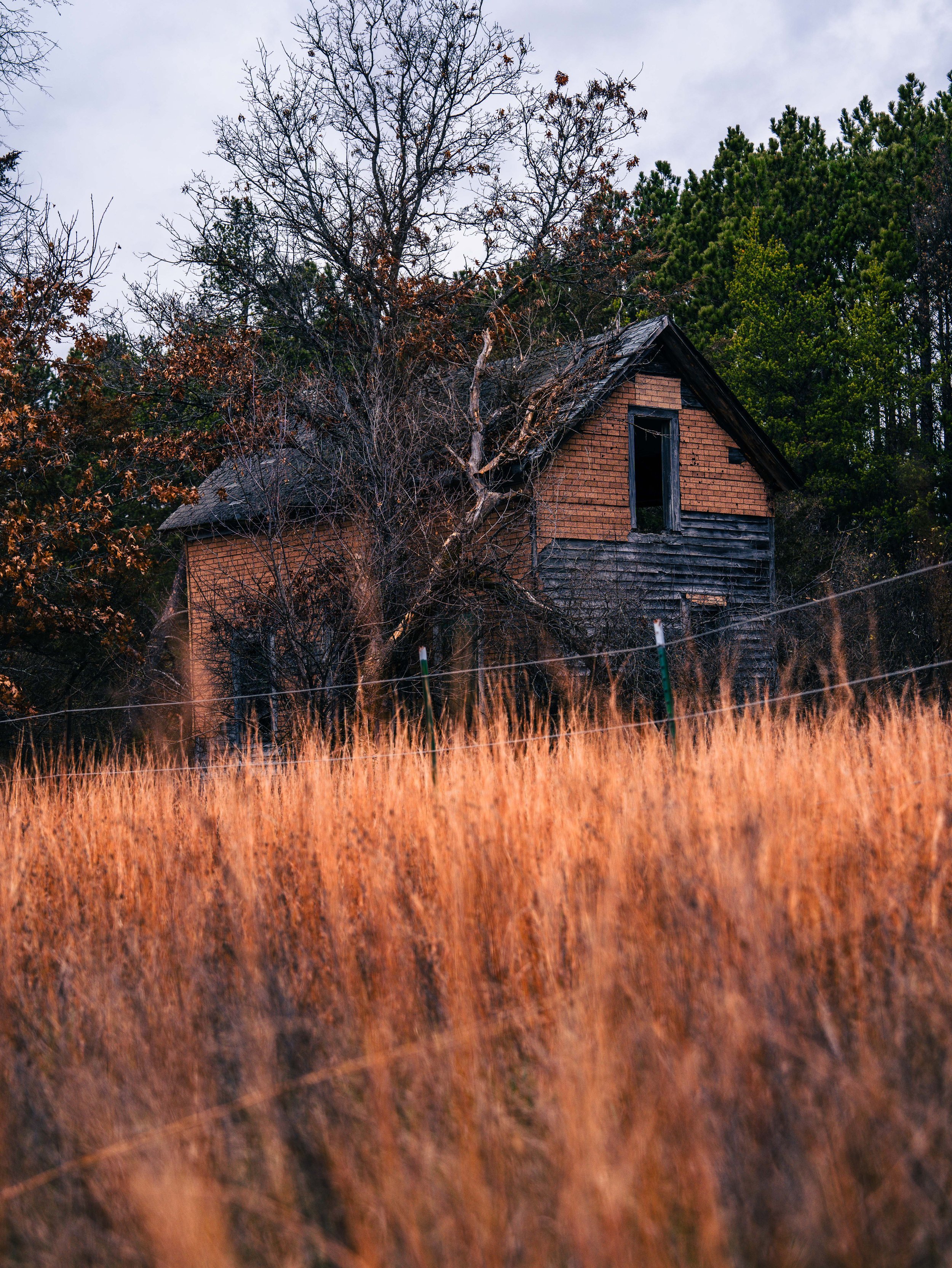 Midwest Polar Orange Color Grading Lut