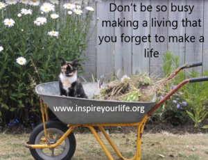 quote52