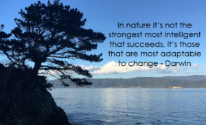 Darwin-quote-300x182.png