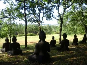 buddha garden