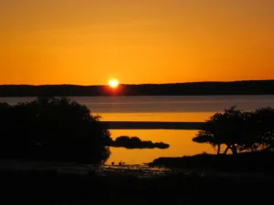 ZIMG_0134 (67)