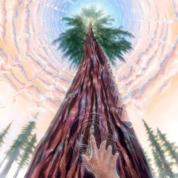 I&rsquo;m not waiting anymore.
I&rsquo;m receiving.
Not chasing, not forcing &mdash; just allowing.

Receiving is a frequency.
A state of openness.
A deep trust that what is meant for you is already on its way &mdash;
and you, in your softness, are r