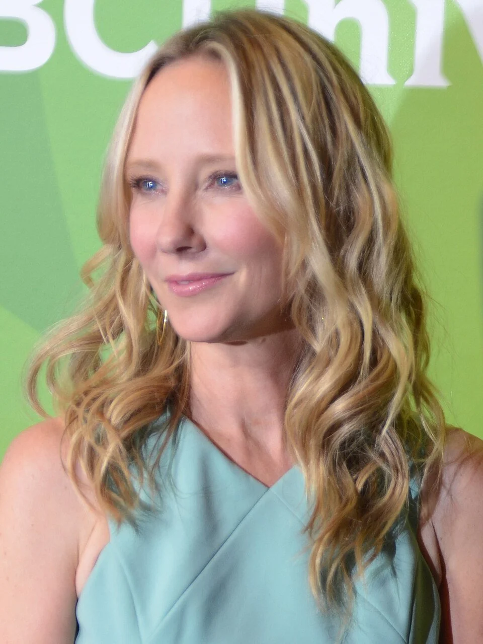 Anne Heche Died in 2022. Her Family Is Still Paying for It