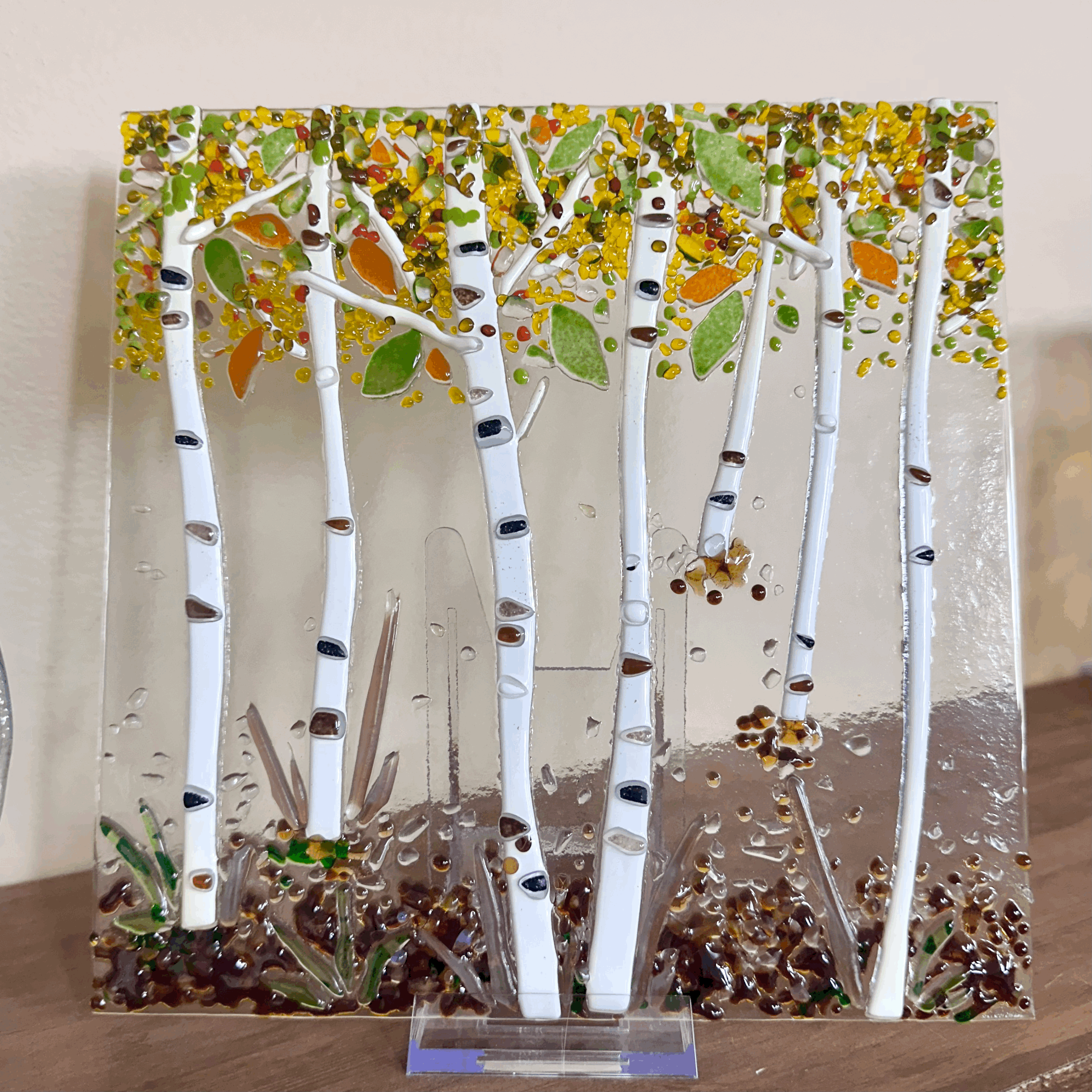 Single Birch Tree 3/22