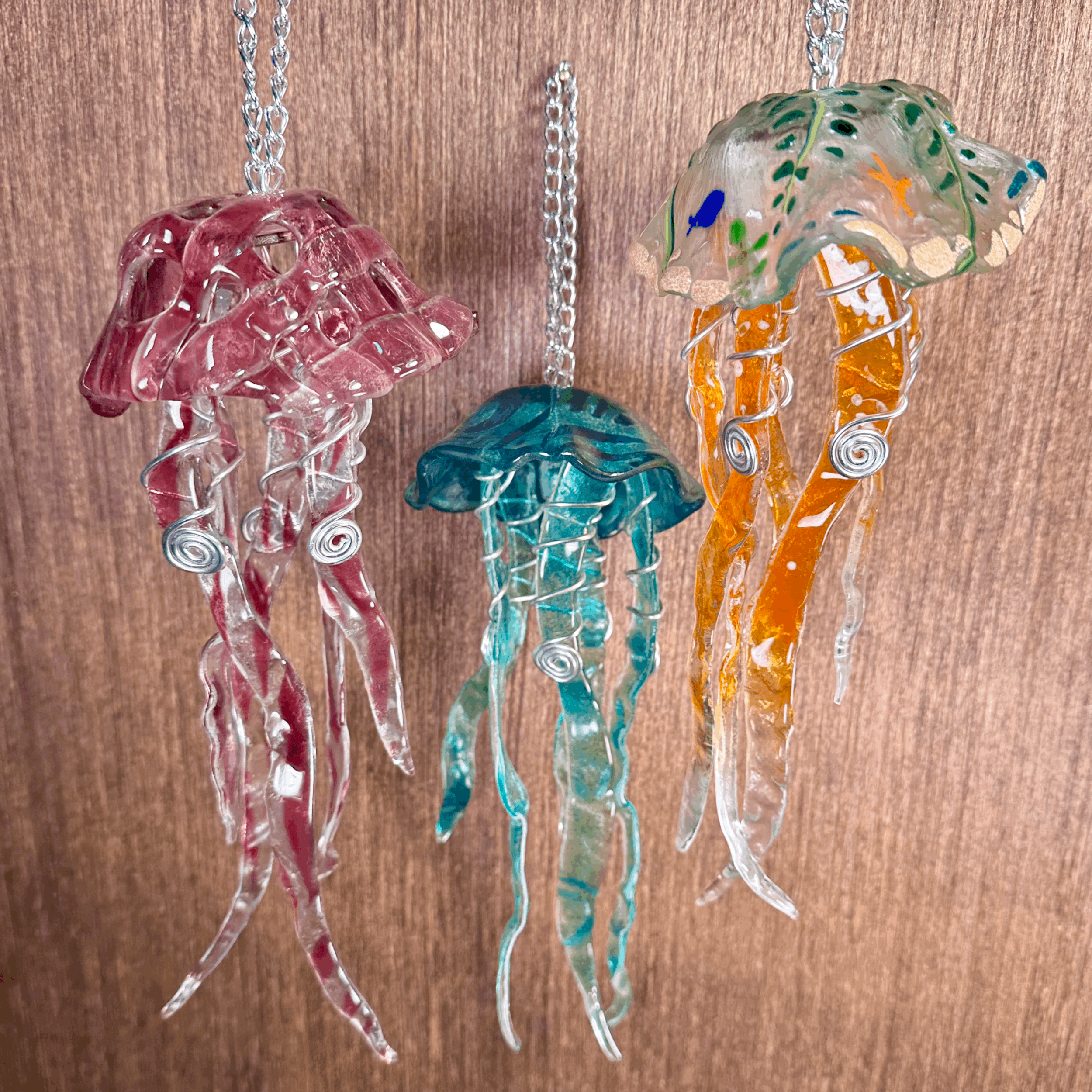 MIni Jellyfish 1/11 1-3pm
