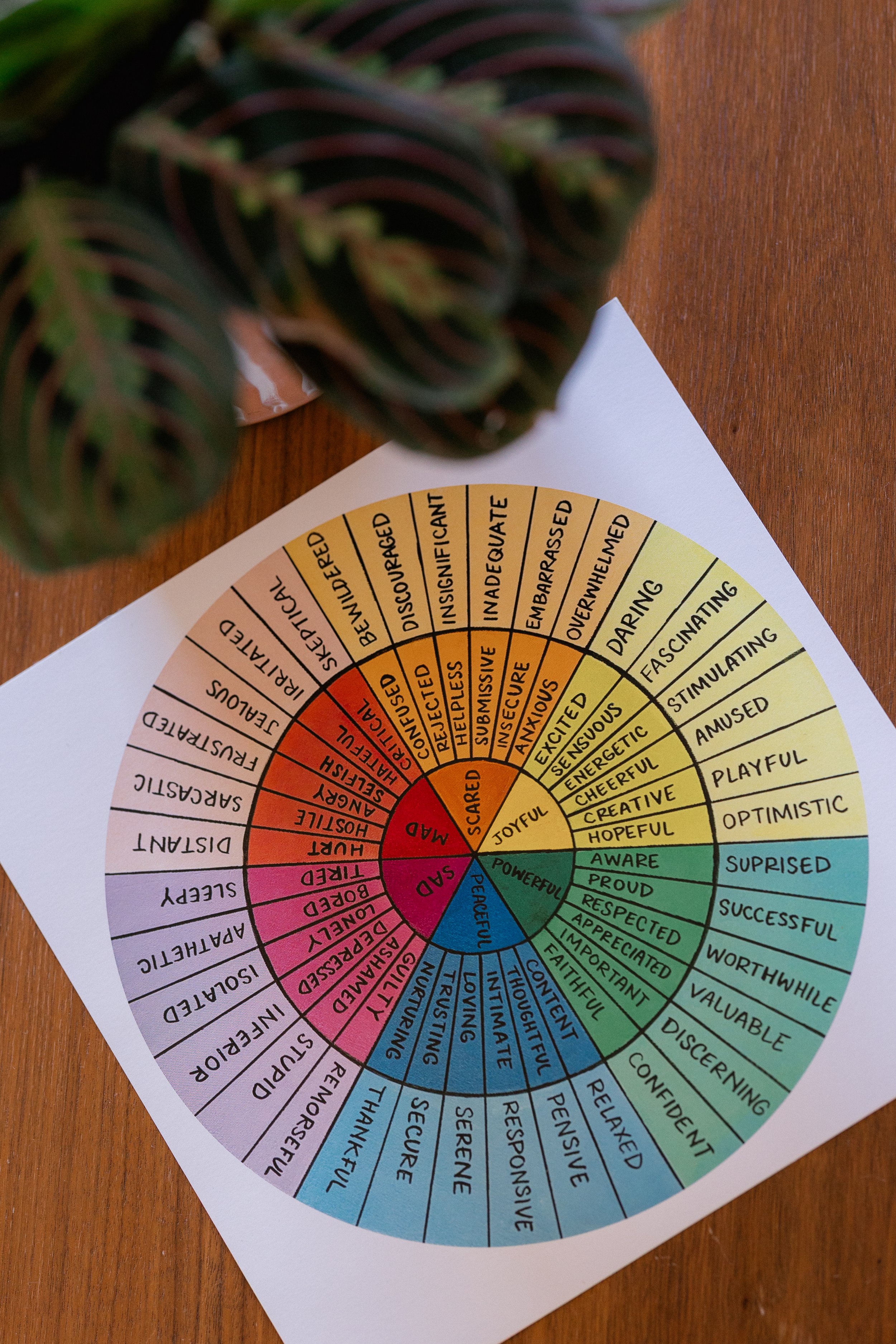 Feelings Wheel