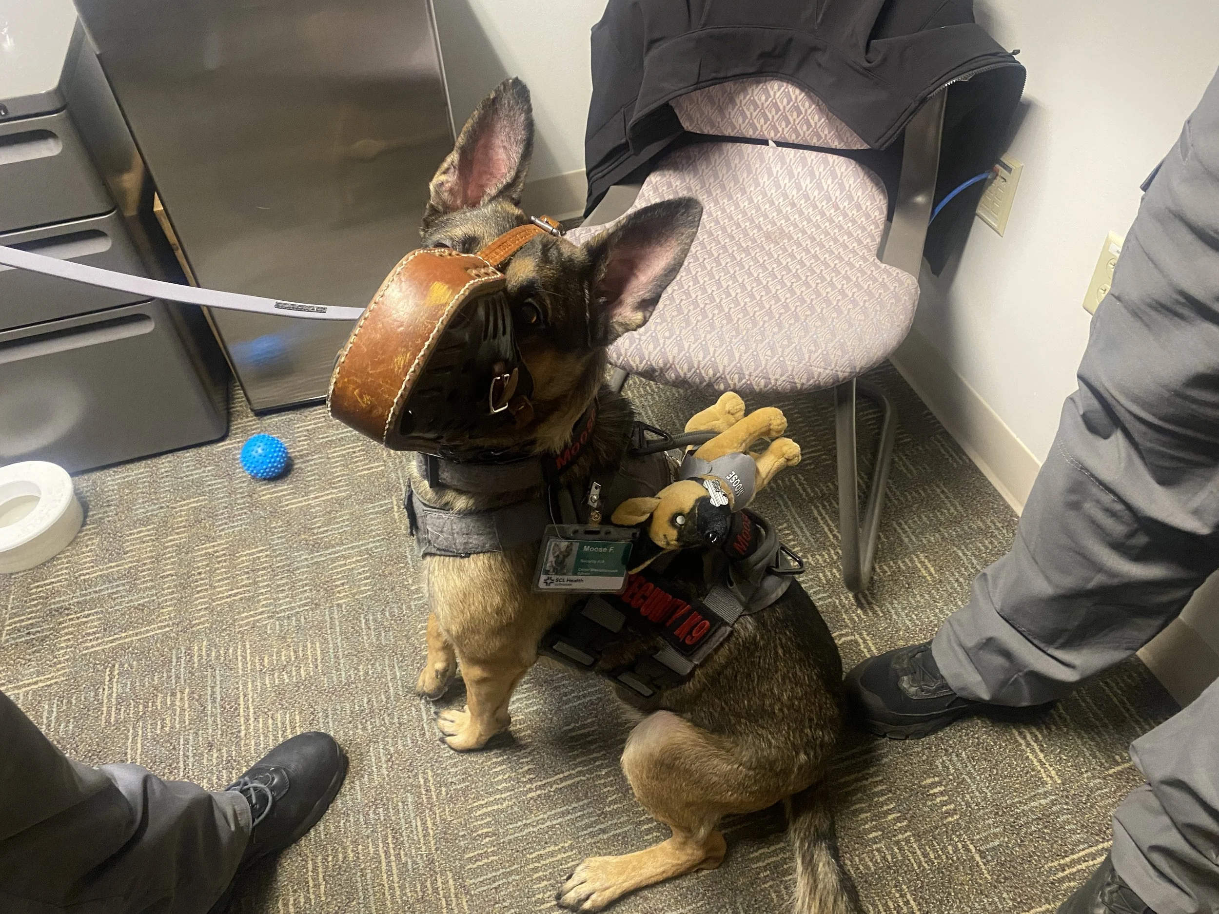 moose with stuffy.JPG