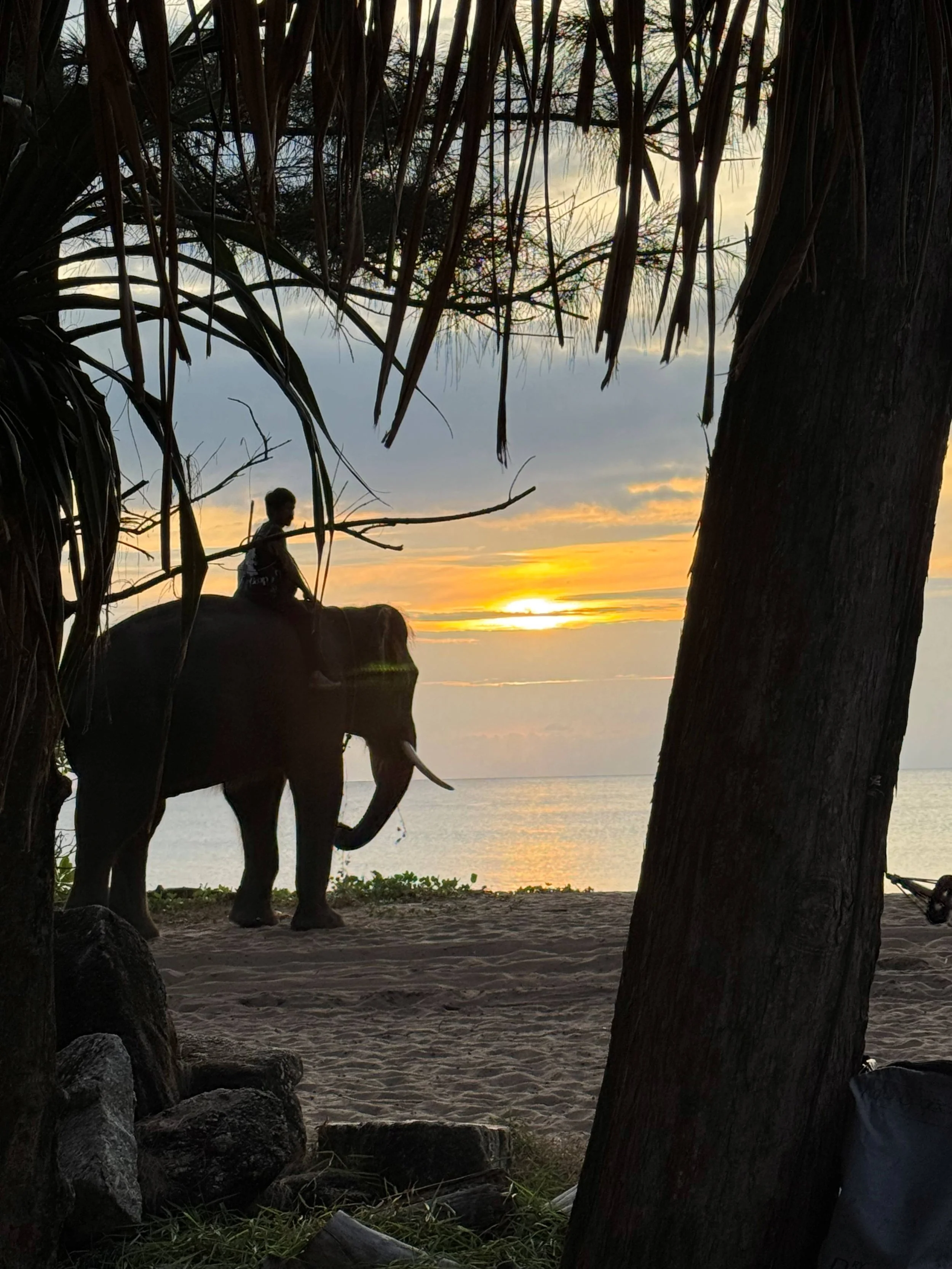 Withers Thailand 2.jpg