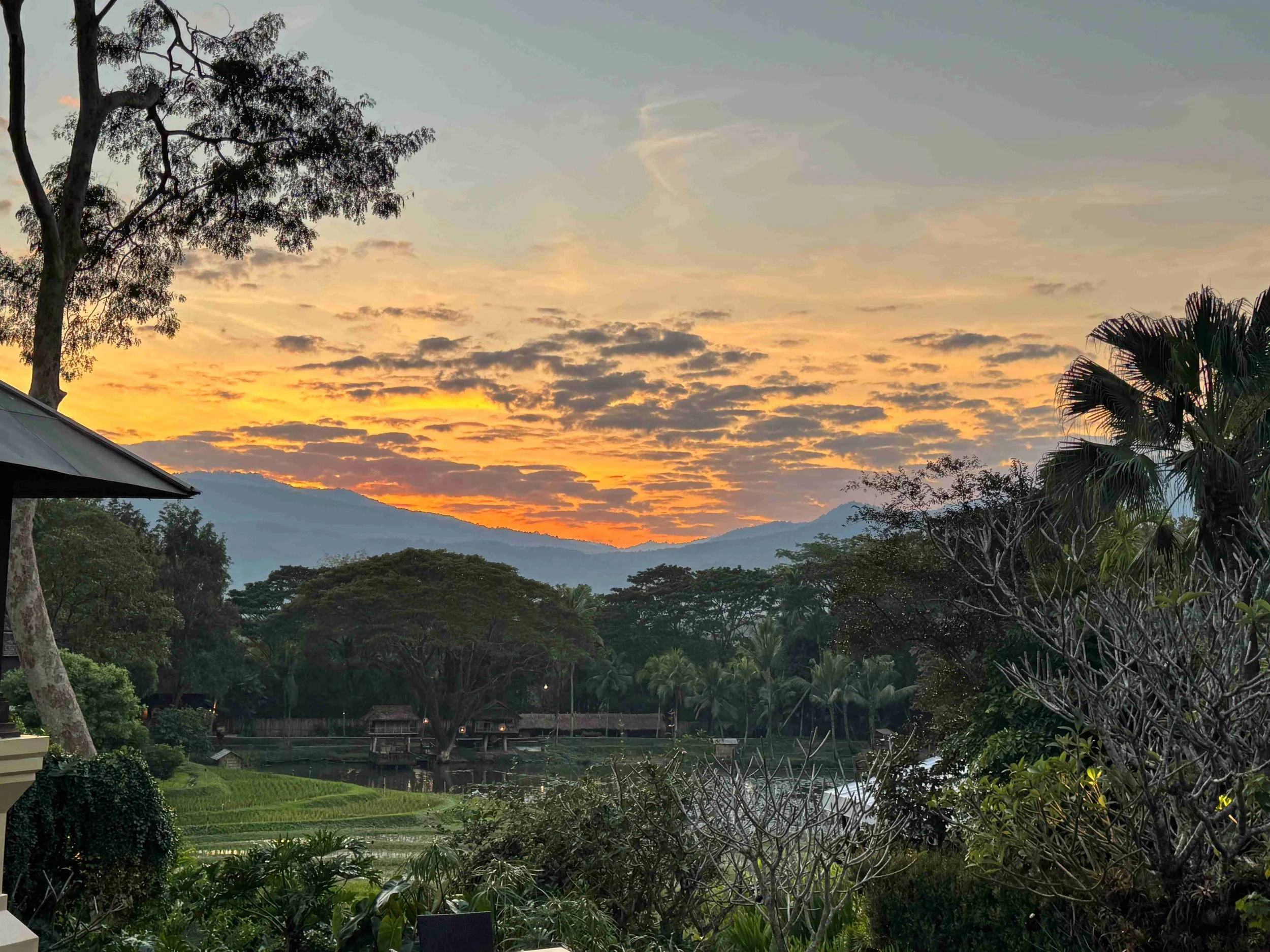 Withers Thailand 6.jpg