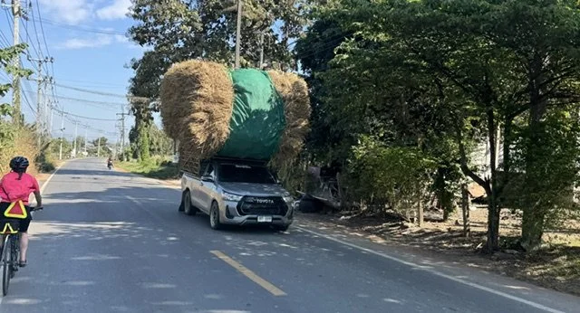 Withers Thailand 8.jpeg