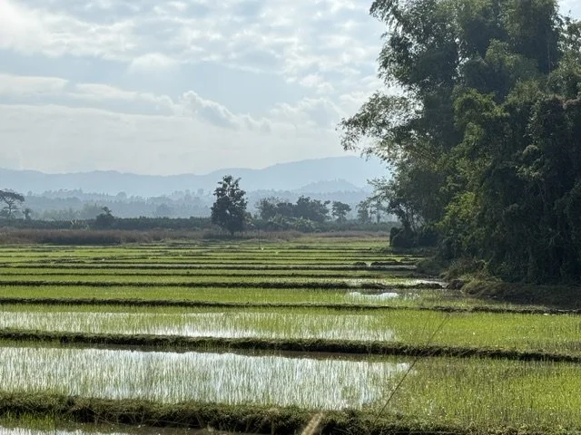 Withers Thailand 9.jpeg