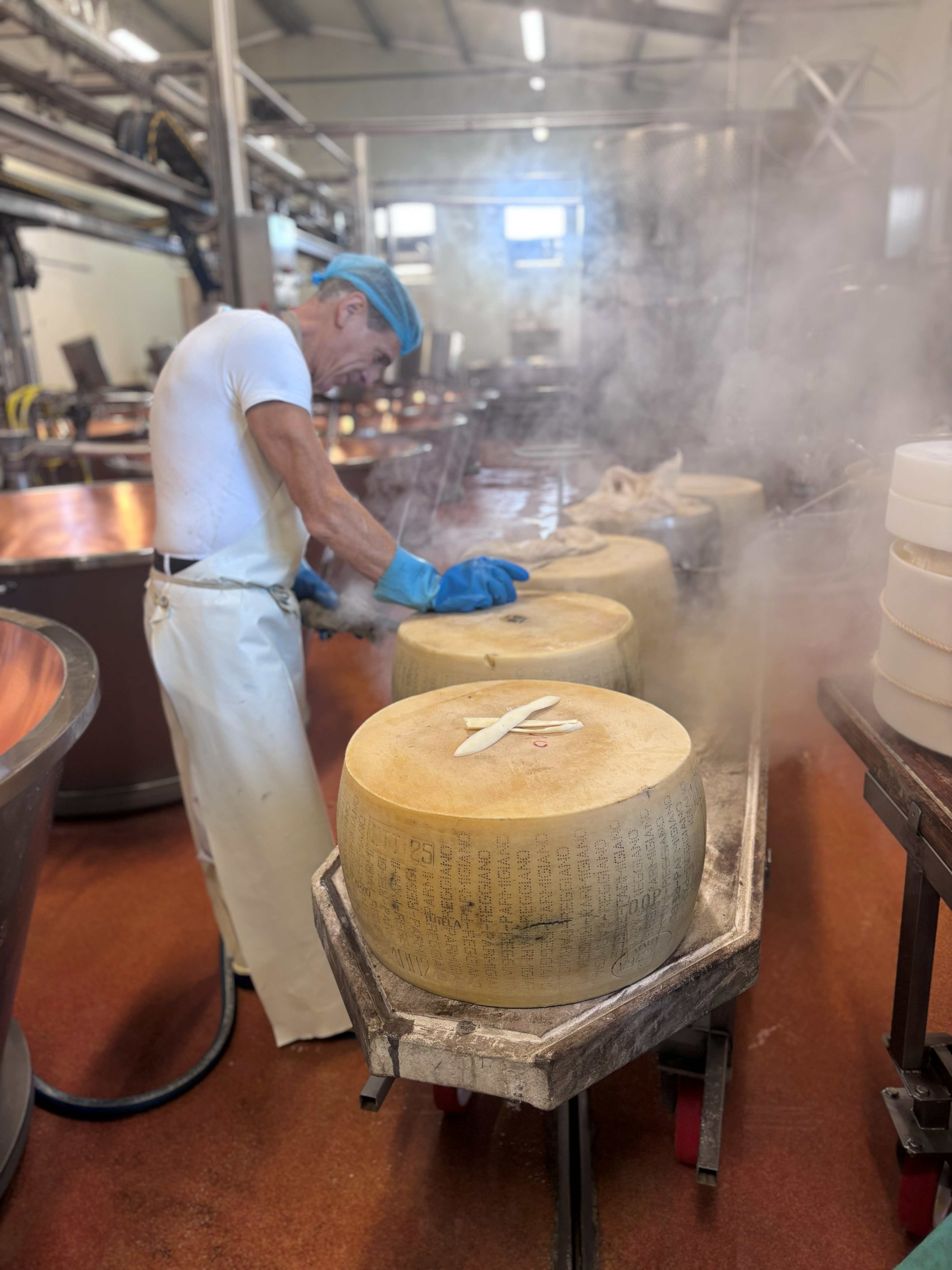 Zeccola Italy food cheese factory.jpg