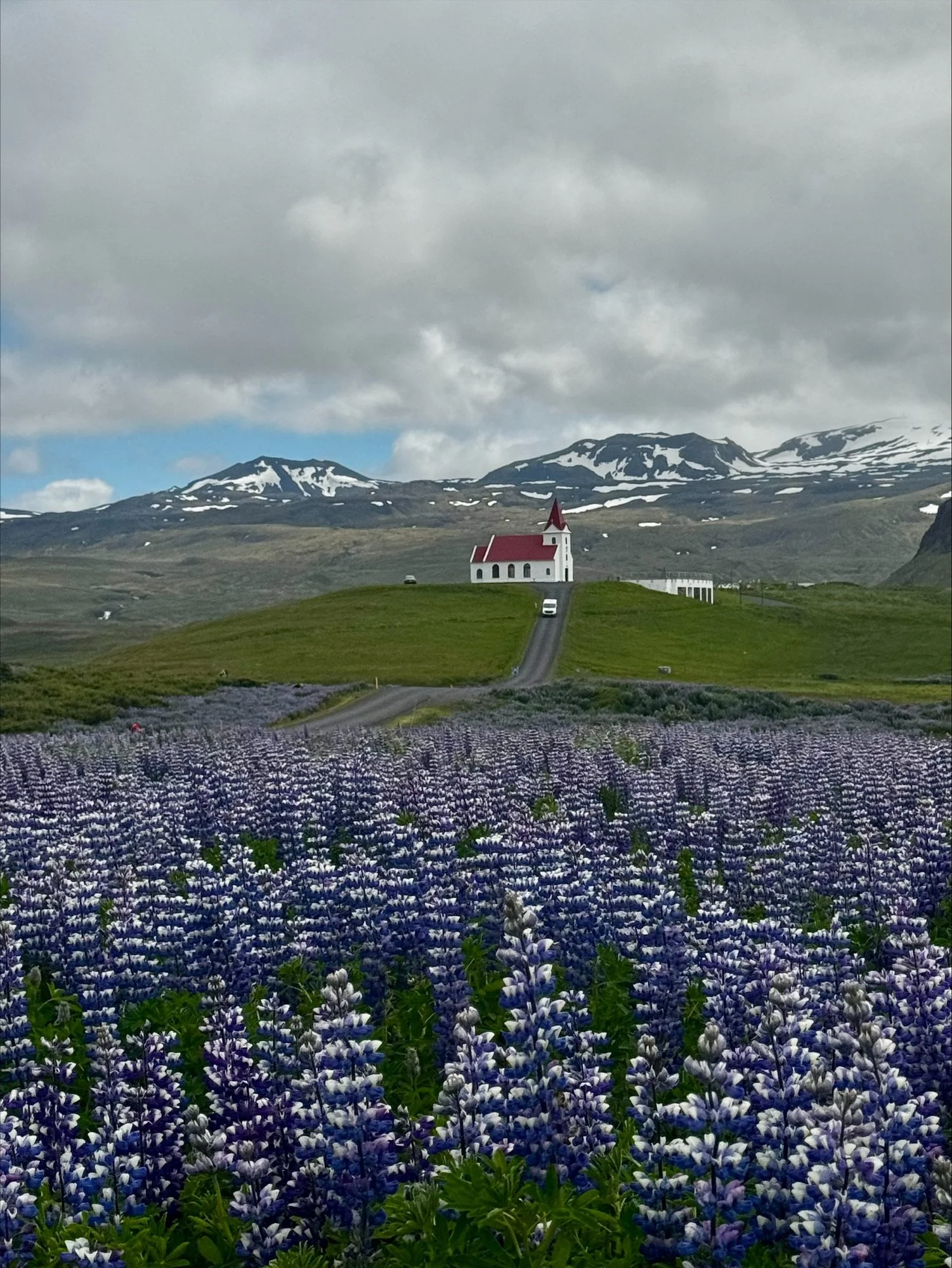 Rosquist Iceland 1.jpeg