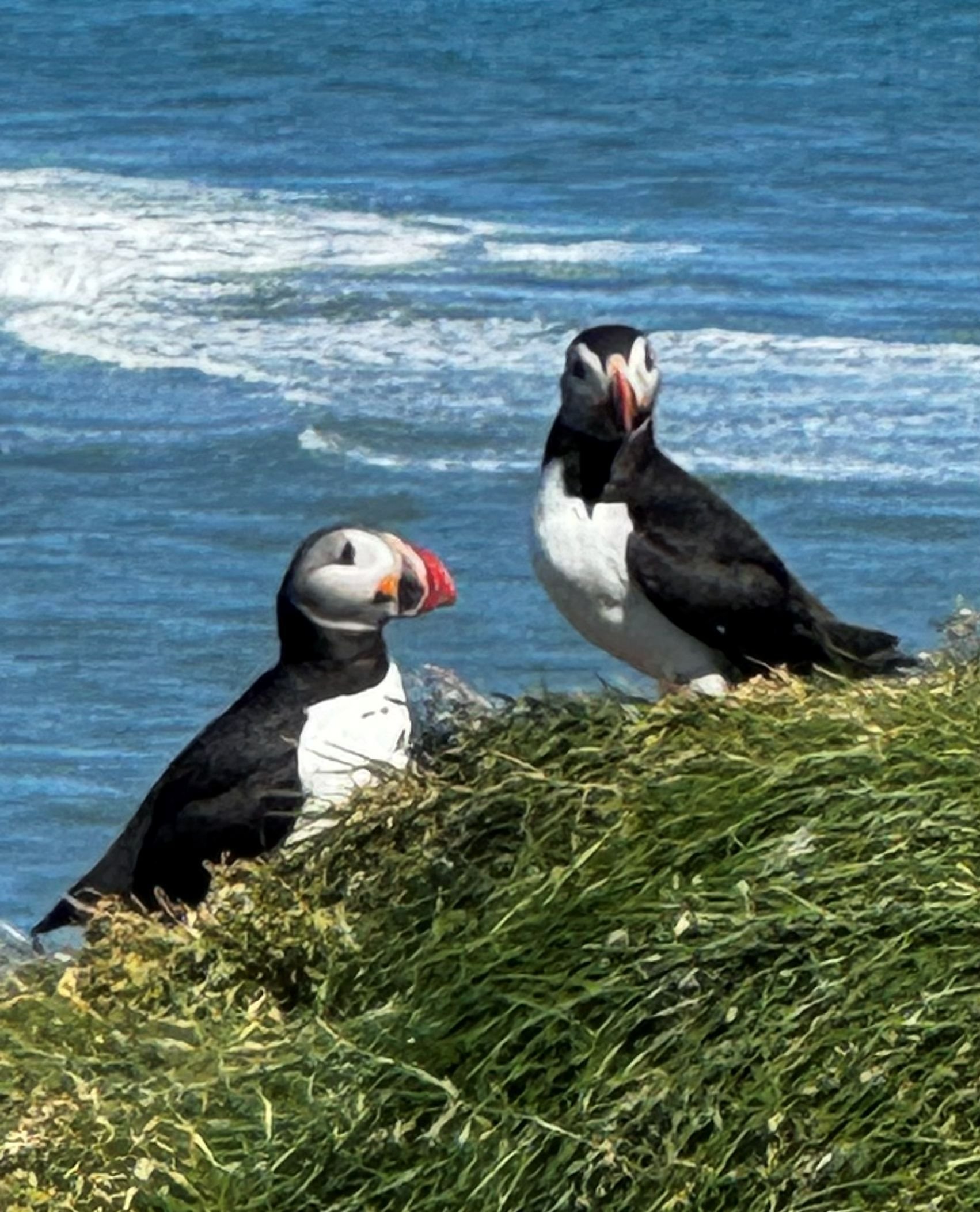 Rosquist Iceland 12.jpg