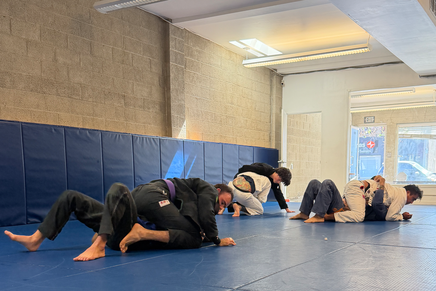 A group of students training Brazilian Jiu-Jitsu in Santa Monica