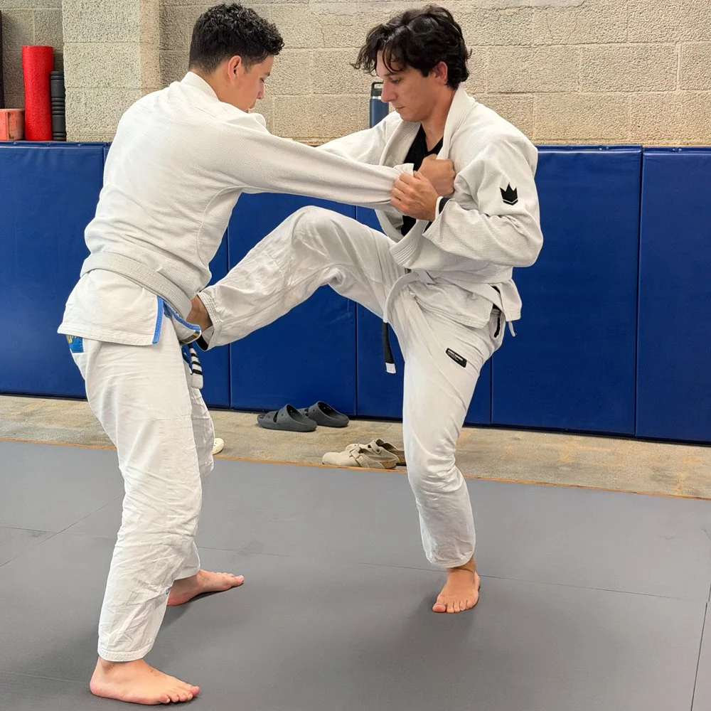 Two men practicing Brazilian Jiu-Jitsu on a mat, with one executing a guard pass while the other defends.