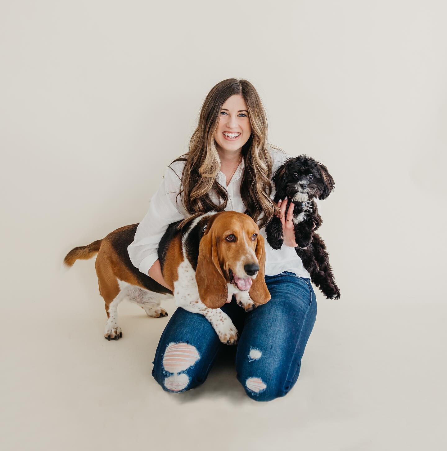 Meet the boys! 🐶🐶
Arthur is a 6-year-old Basset Hound and is the chill of the group. He loves cuddles, going on adventures, and snacks. He&rsquo;s most often found in his bed in the office or under my desk while I work. Arthur needed a friend, so I