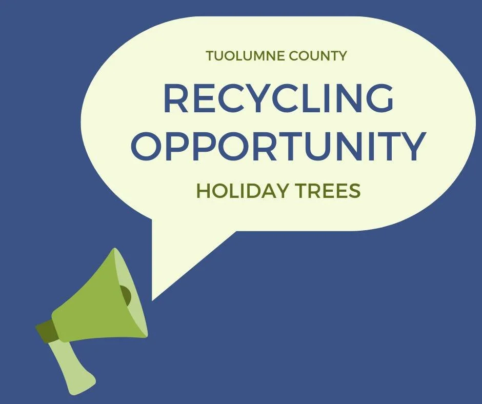 Tuolumne County is recycling your real, non-flocked holiday trees! This is a limited service and certain conditions apply.🌲

Make sure to remove all decorations including tinsel and nails!

For more information on how your trees are recycled, visit 