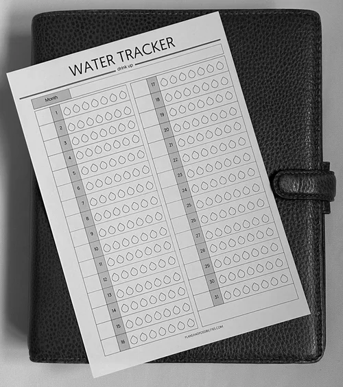 Free Planners — Plans &amp; Possibilities