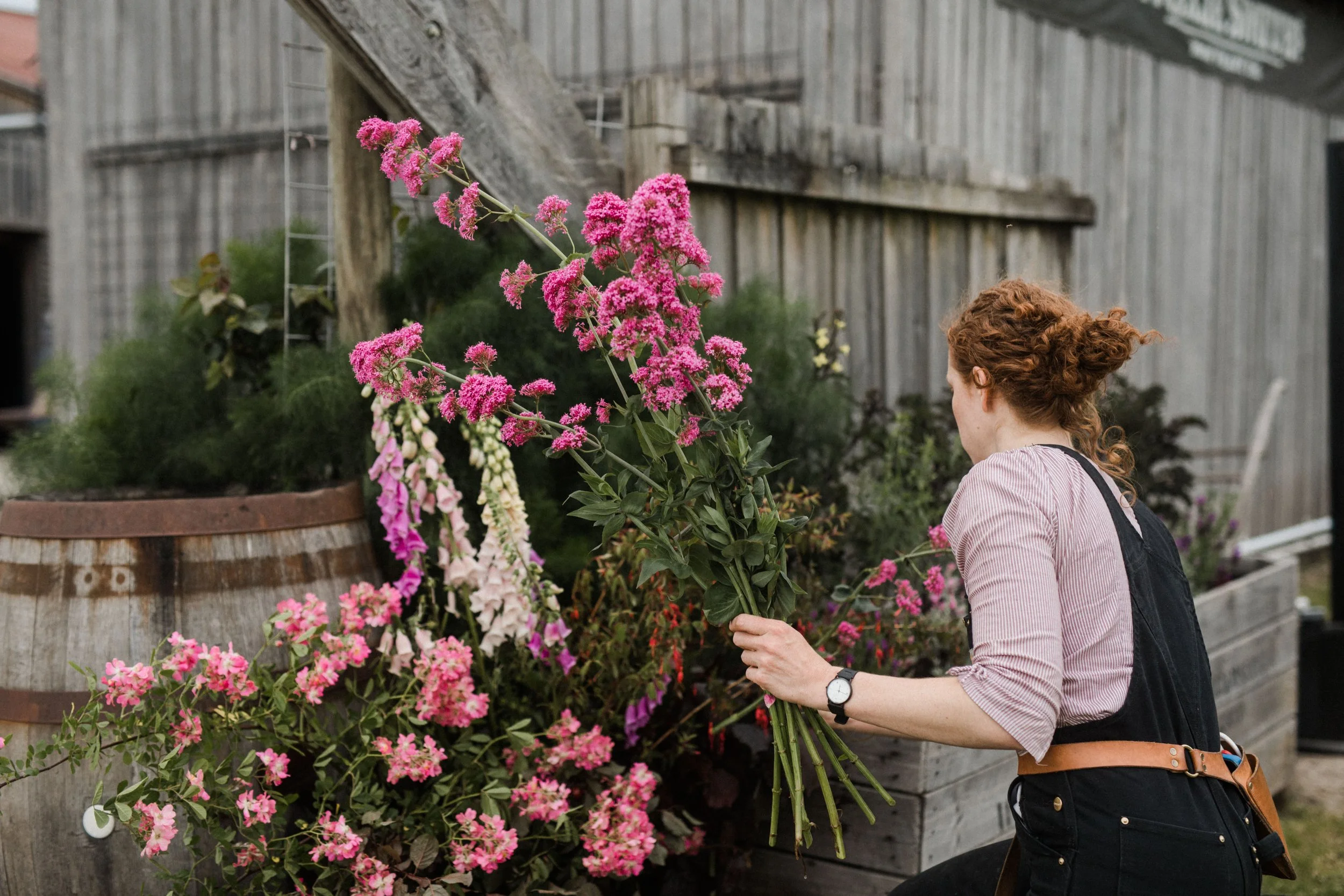 A woman with curly red hair wearing a striped shirt and apron picking pink flowers in a garden with wooden buildings.