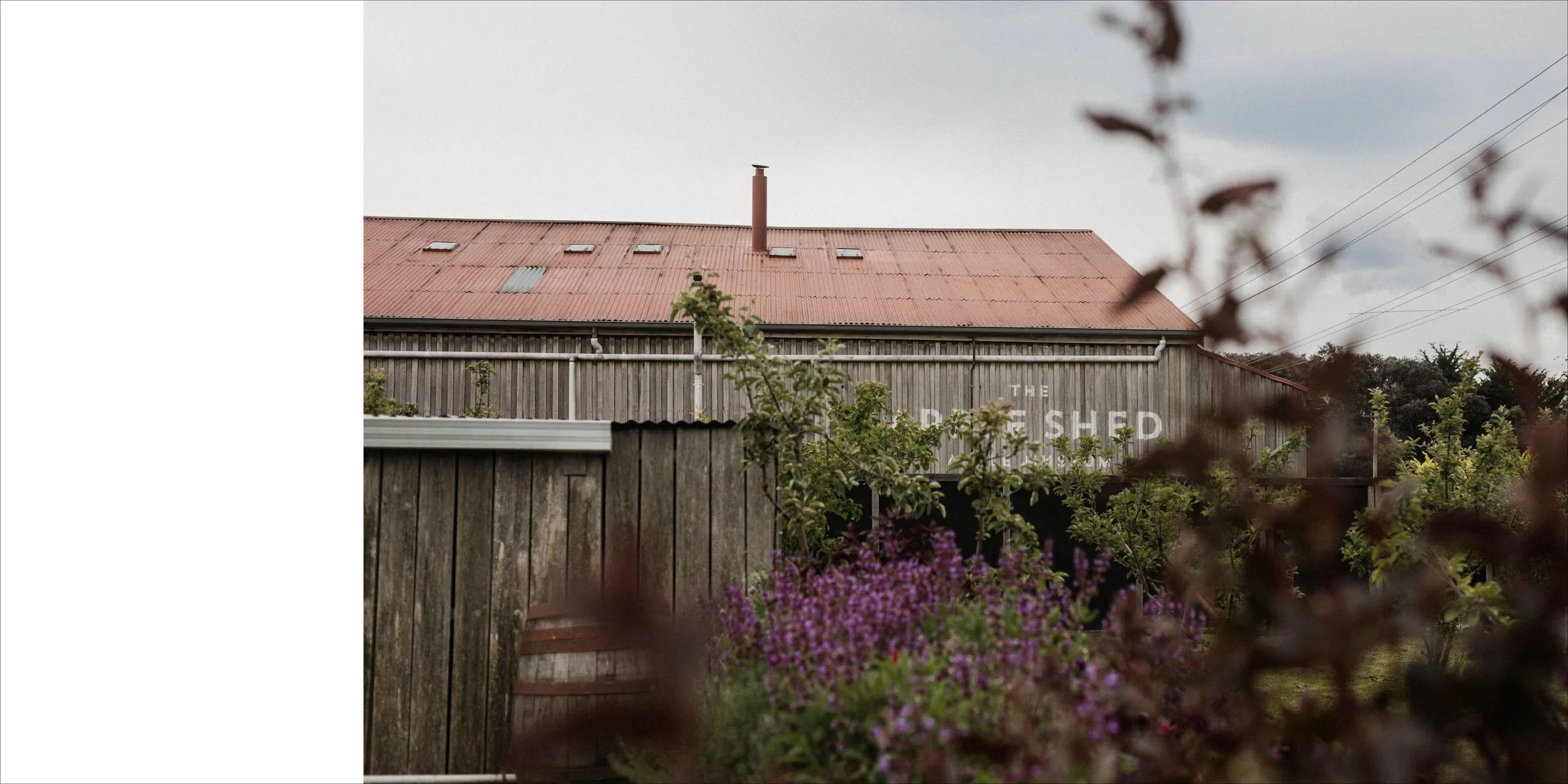 Backyard scene with a weathered wooden fence, a barn with a red, rusty roof, and a chimney. Various plants and flowers in the foreground, some purple and others green. Overcast sky.