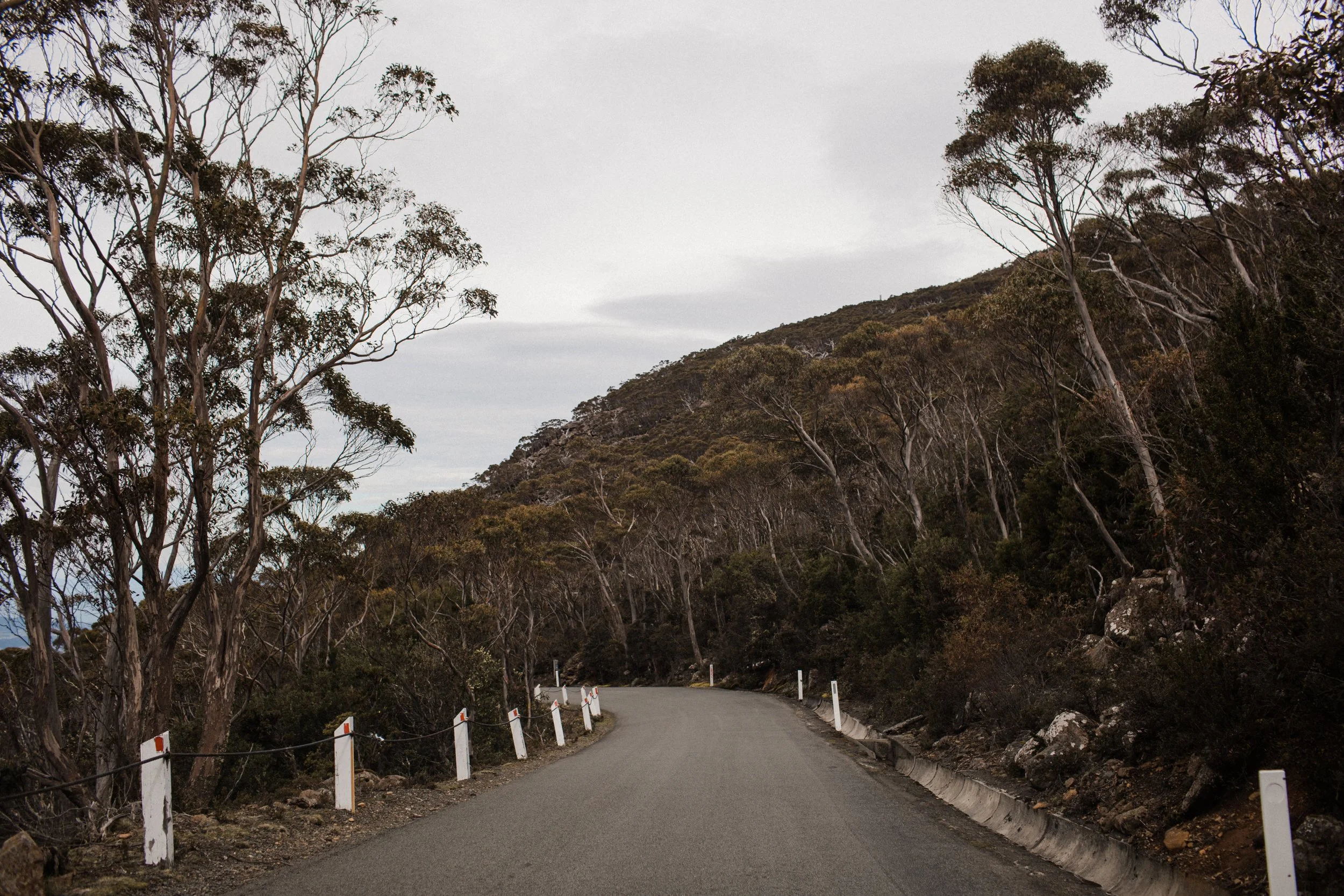 A winding mountain road lined with white and orange posts, surrounded by leafless trees and rocky terrain, under an overcast sky.
