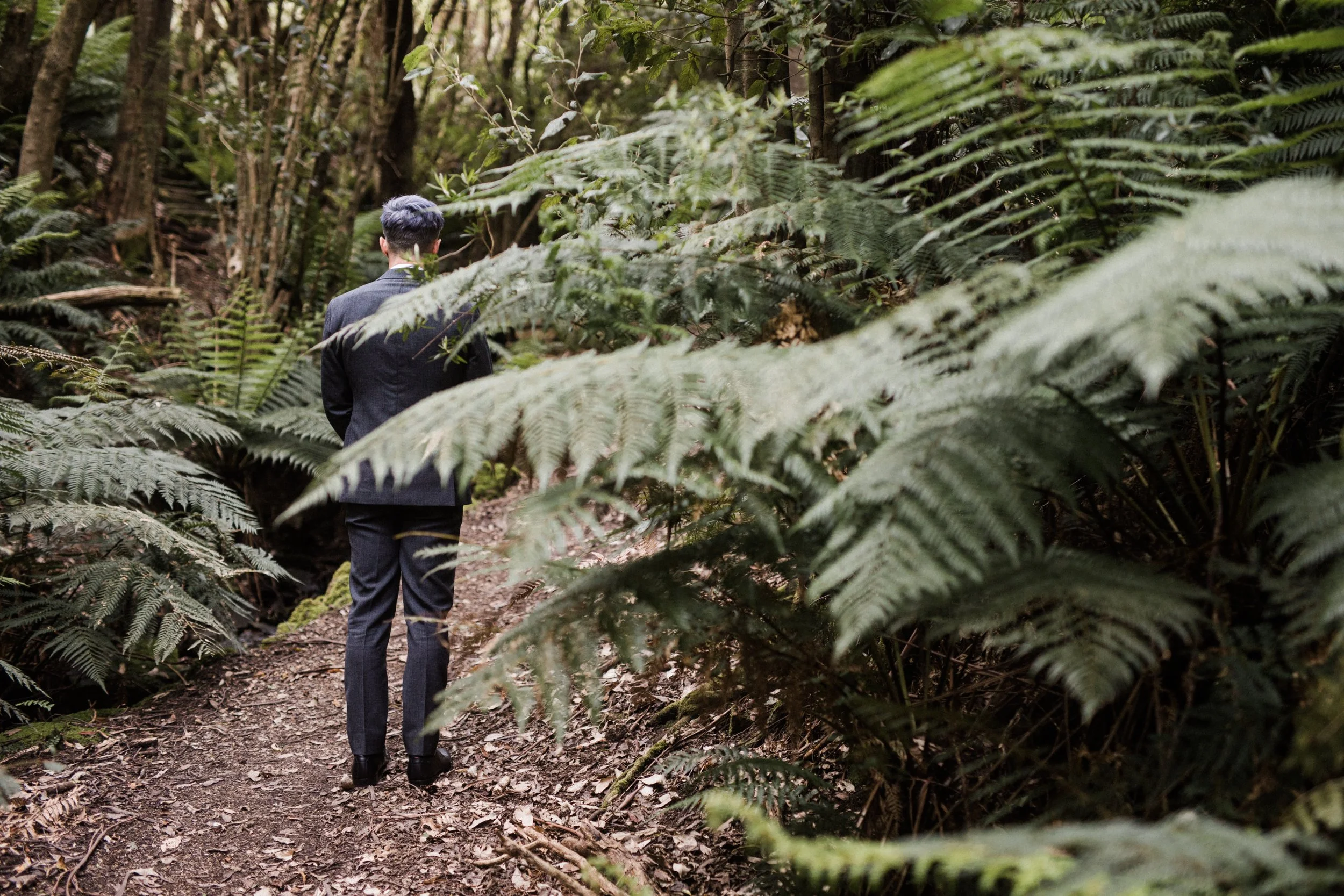 Man in a business suit walking on a dirt trail through a dense forest of ferns and tall trees.