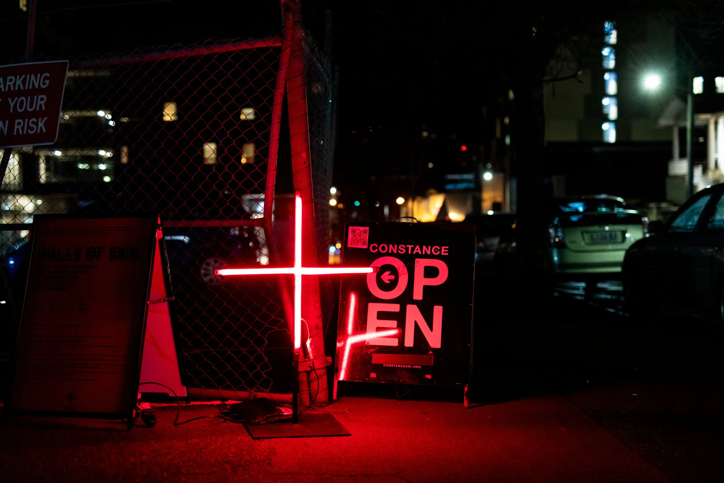 Cassie-Sullivan-Constance-WallsOfSkin-3 (1).jpg