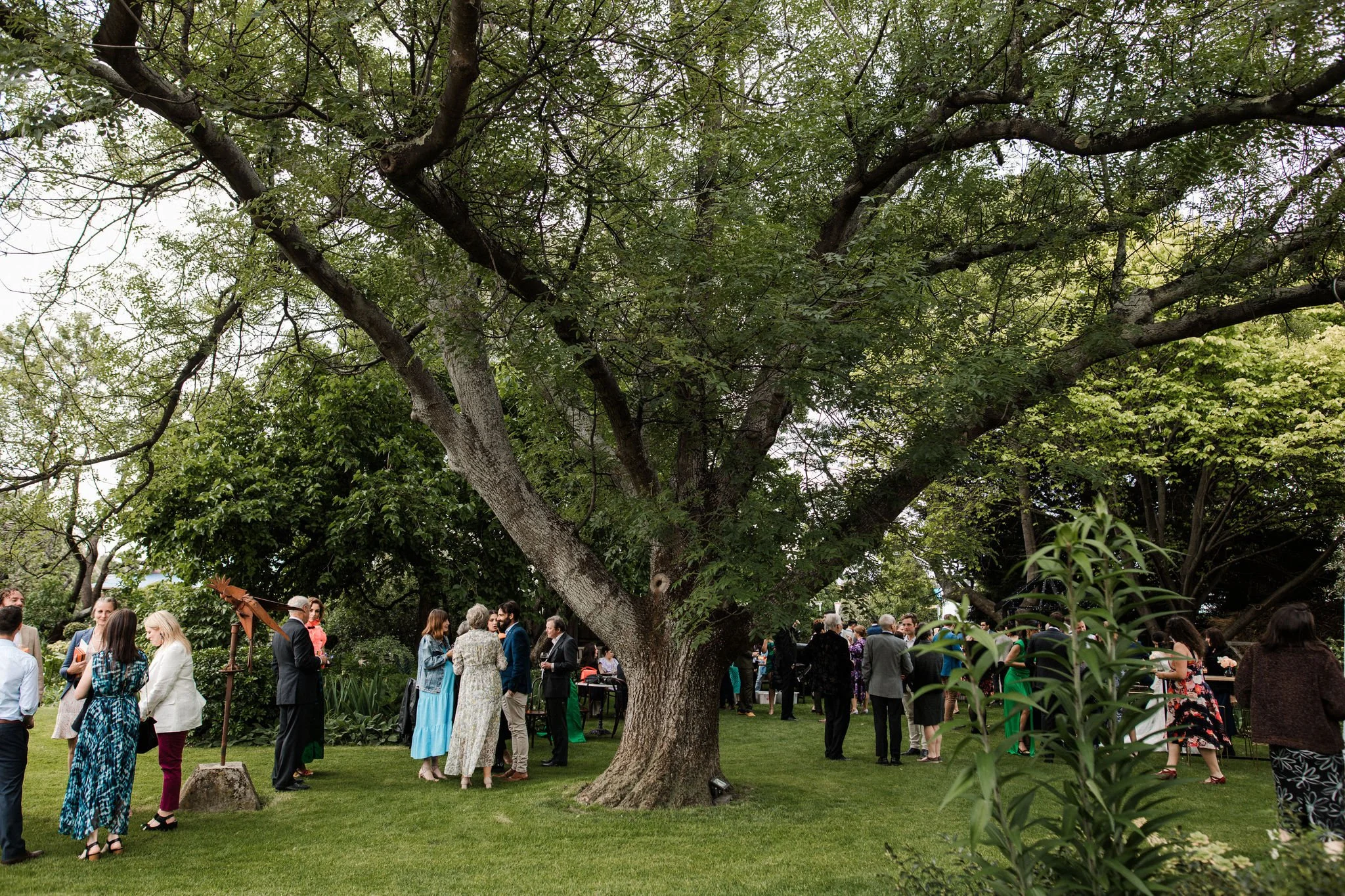 People gathered outdoors on a grassy area under a large, leafy tree during what appears to be a social event or gathering.