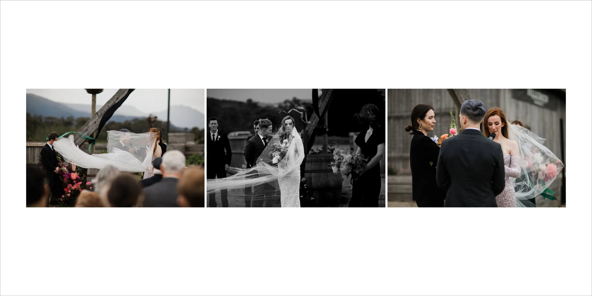 Wedding ceremony and vows with bride and groom exchanging rings, officiant, and guests in outdoor rustic setting with barn background.