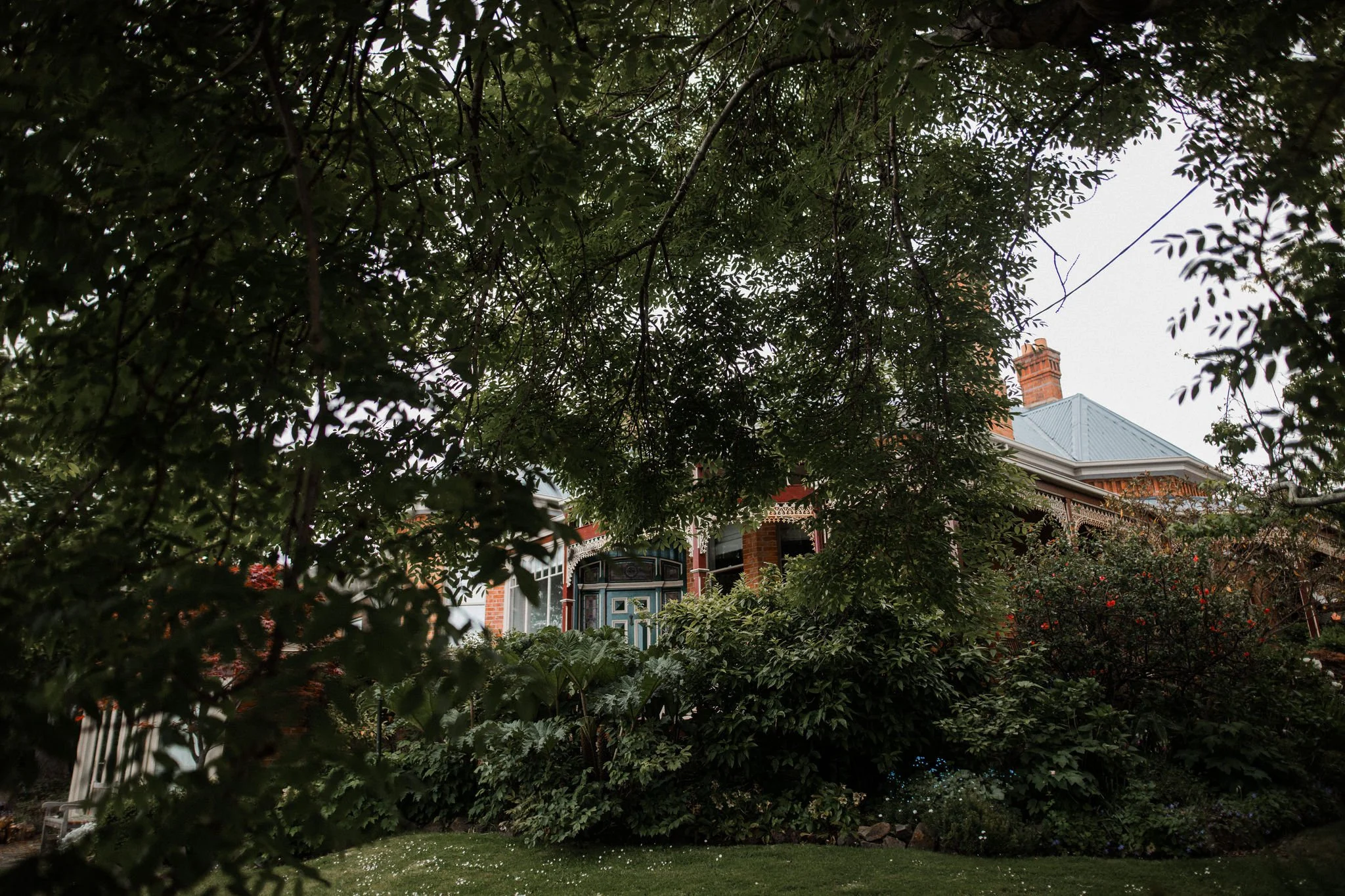 A vine-covered front yard of a Victorian house with red brick walls, a blue roof, and a decorative front porch, seen through the branches and leaves of trees.
