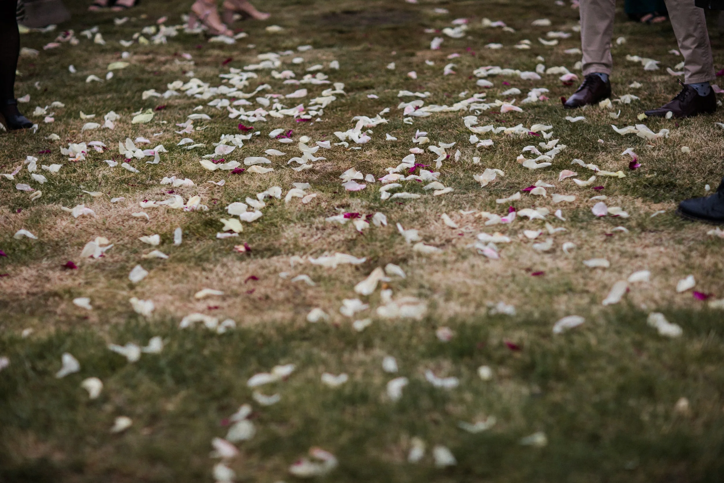 Scattered flower petals on grass at a wedding or outdoor event, with partially visible people's legs and shoes.