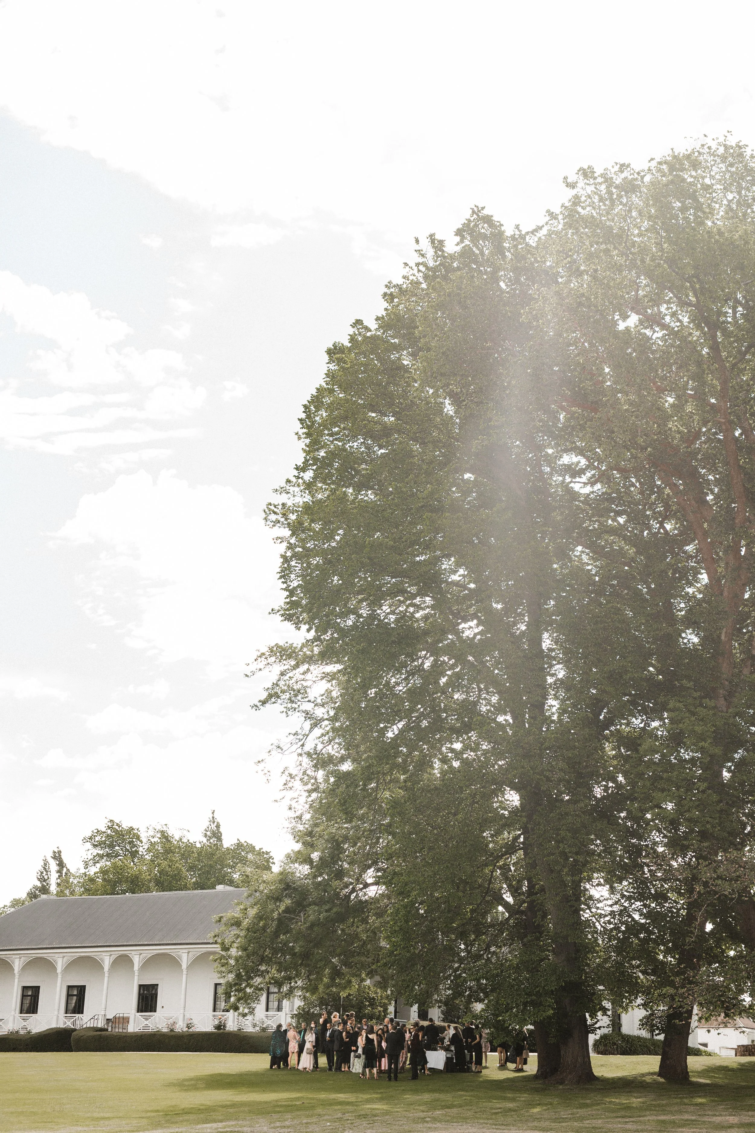 Outdoor wedding gathering under a large tree on a well-maintained lawn, with a white building in the background.