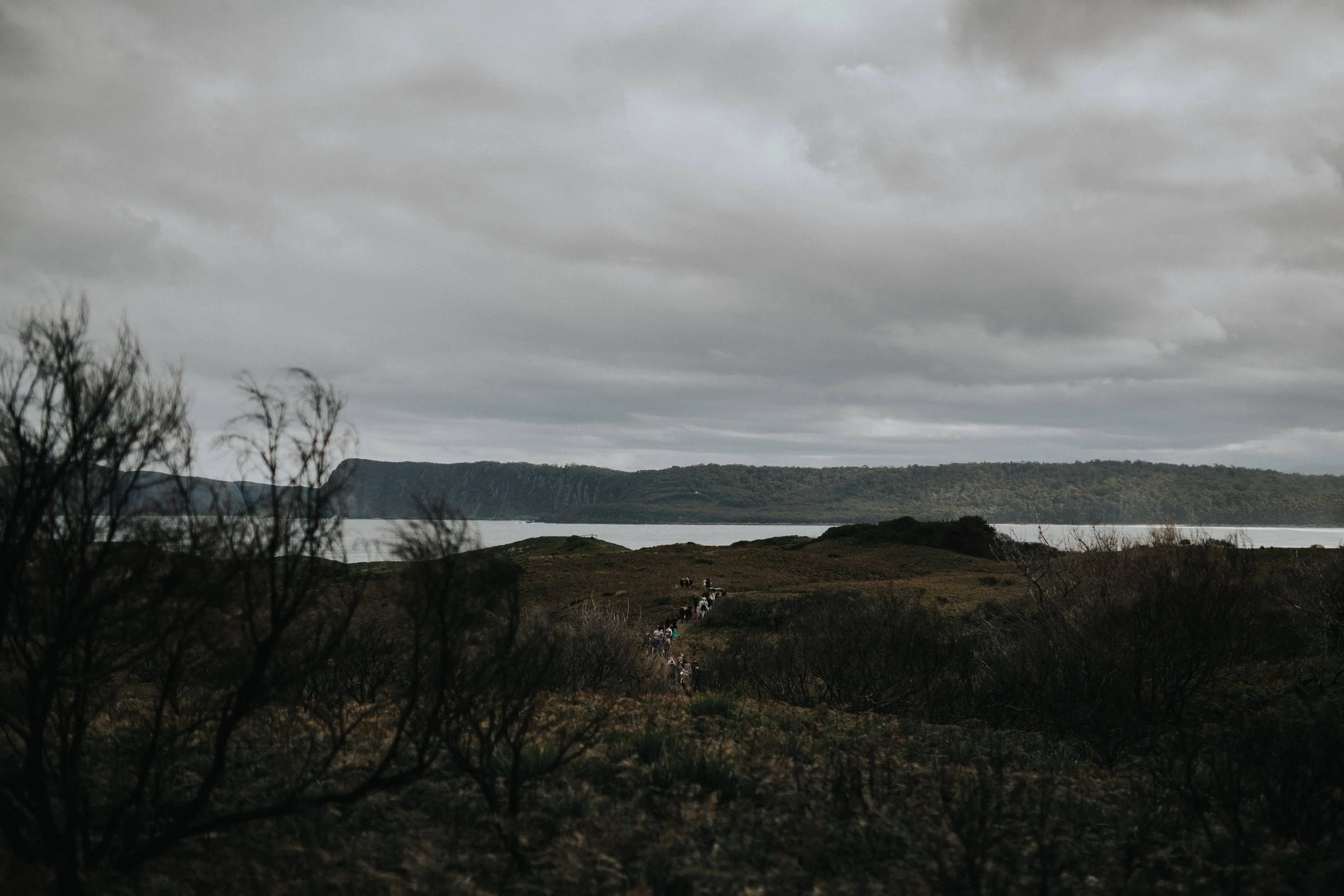 A landscape with a cloudy sky, distant hills, a body of water, and a trail with small figures walking through a dark, shrub-covered area.
