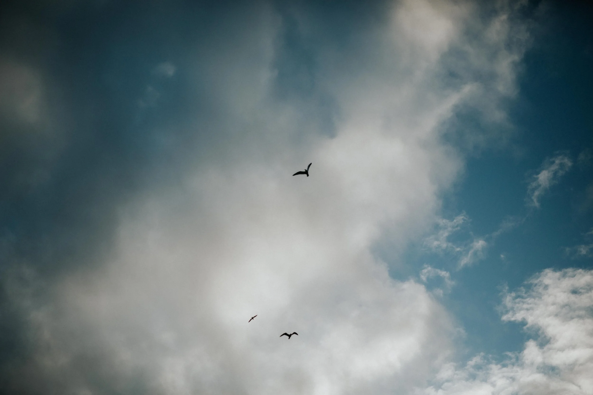 Cloudy sky with three birds flying in the distance.
