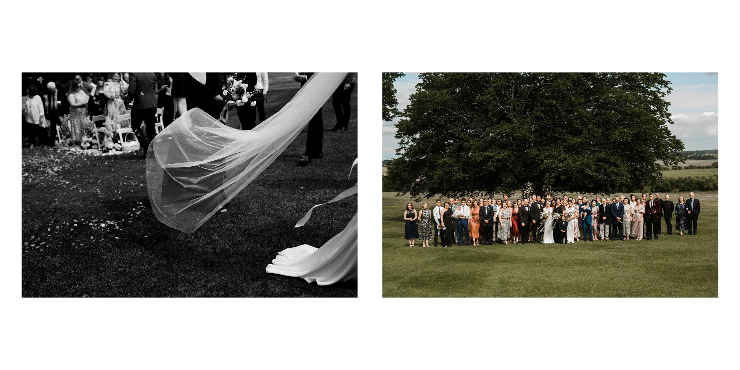 A wedding scene with a black-and-white photo of the bride's veil and guests on the left, and a large group of people including the bride and groom in front of a large tree in a field on the right.