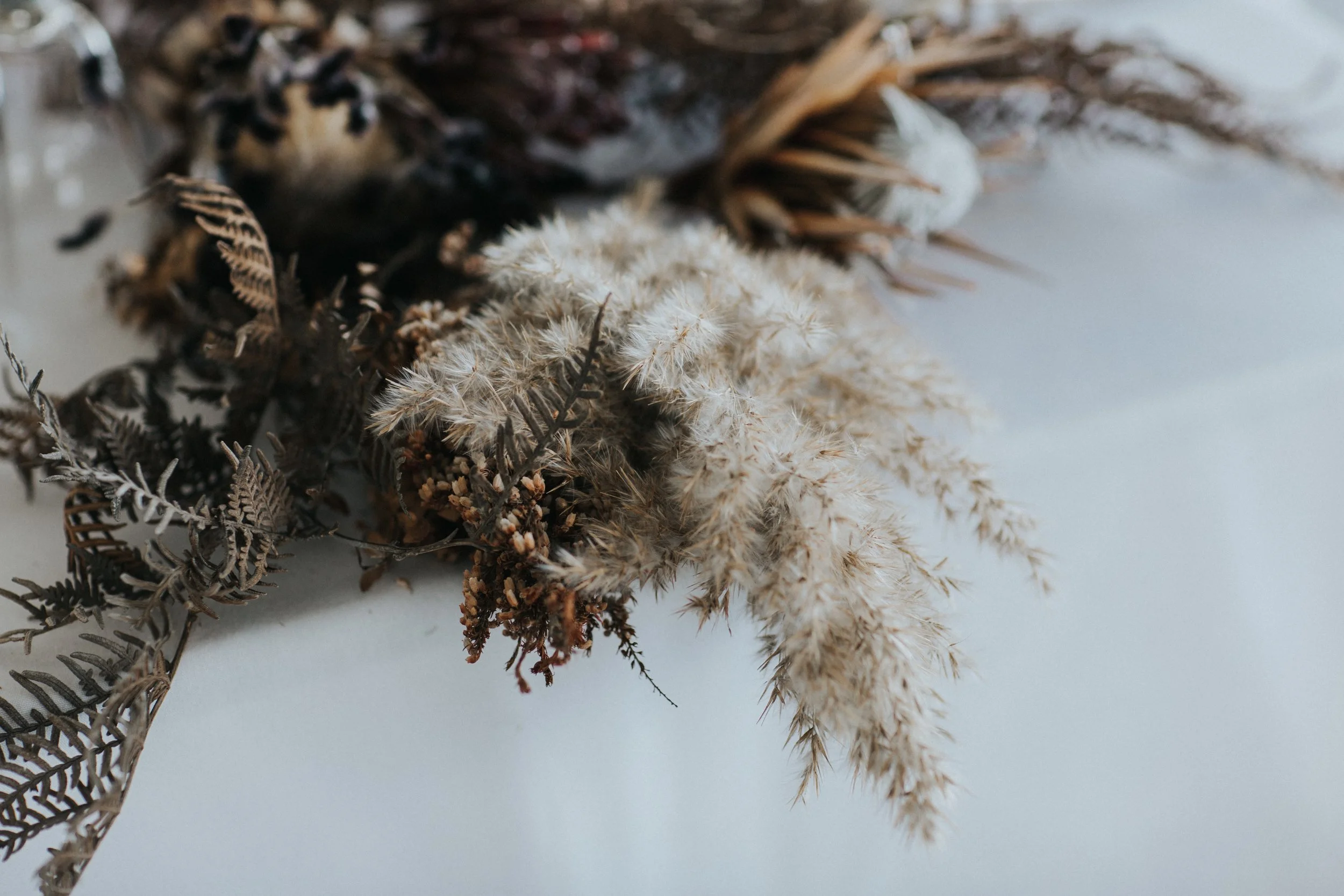 A close-up of dried flowers and plants, including ferns and fluffy grasses, arranged on a white surface.