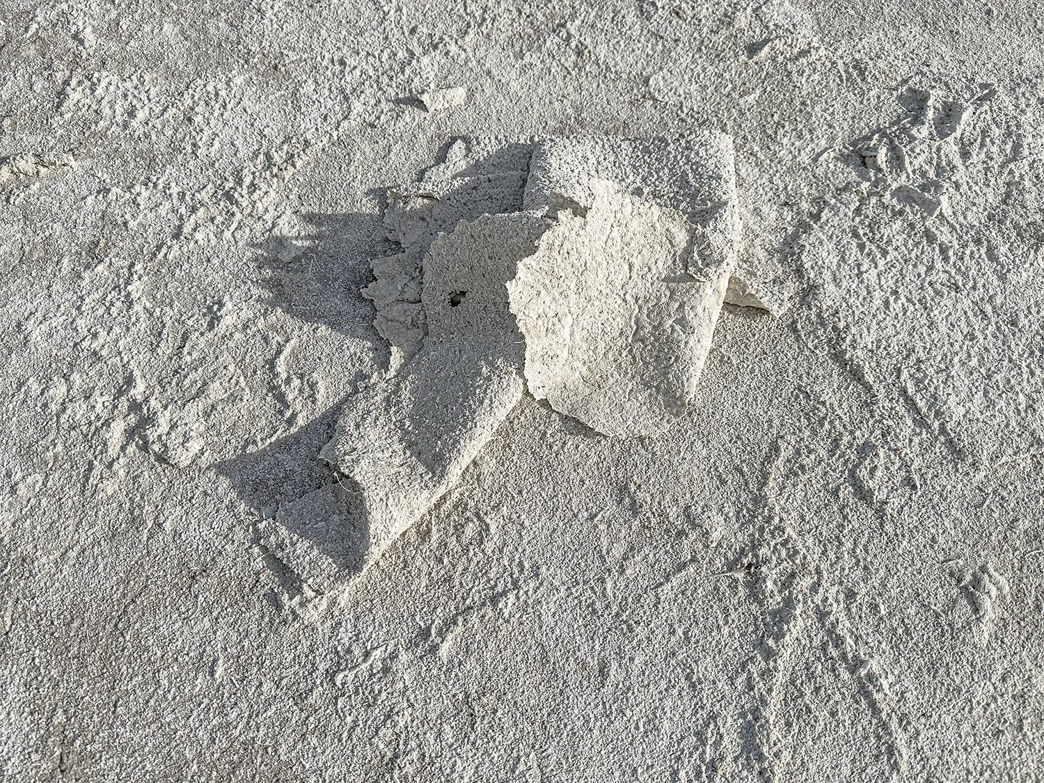 Salt Crust 6