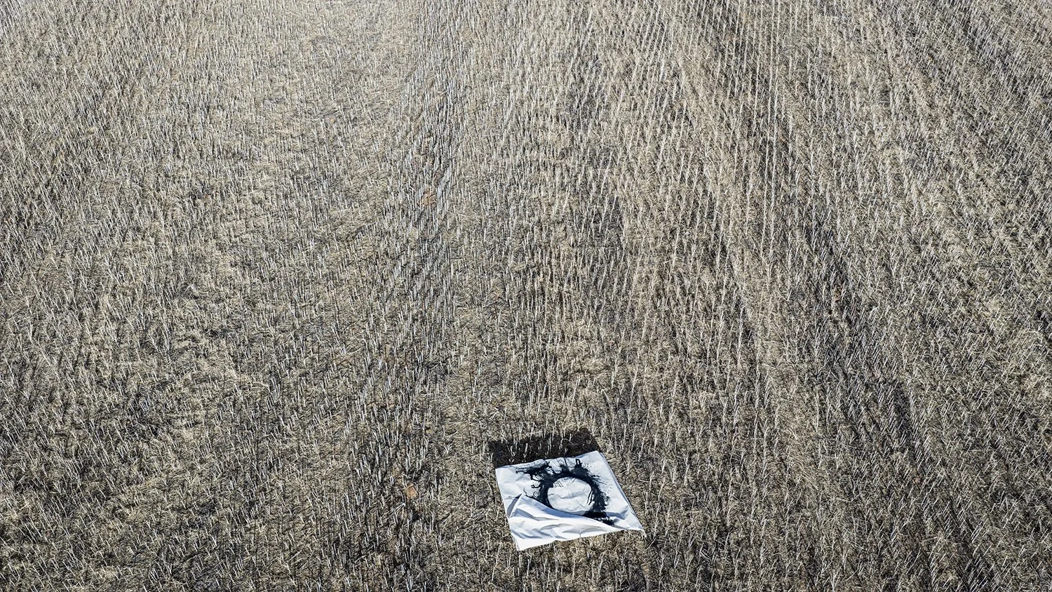 Stripped 2