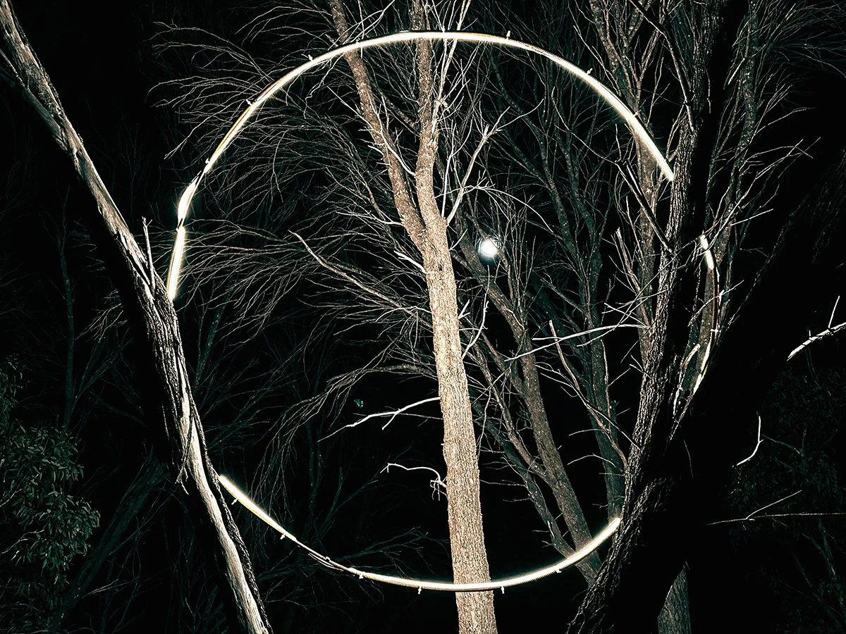 Night Forest 8-websize.jpg