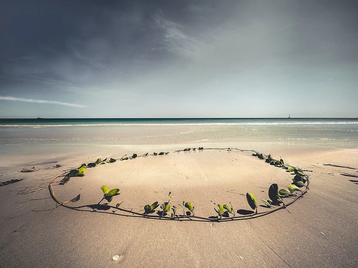 Coastal 9b. Caroline Christie-Coxon 05.2023 - websize.jpg