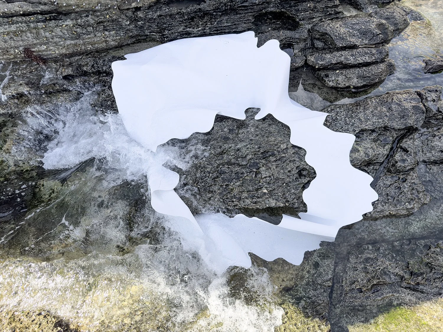 Curating The Flow 2