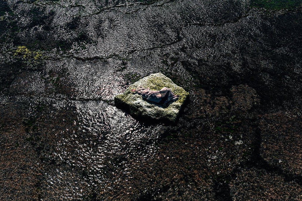 Crocodile Rocks 3