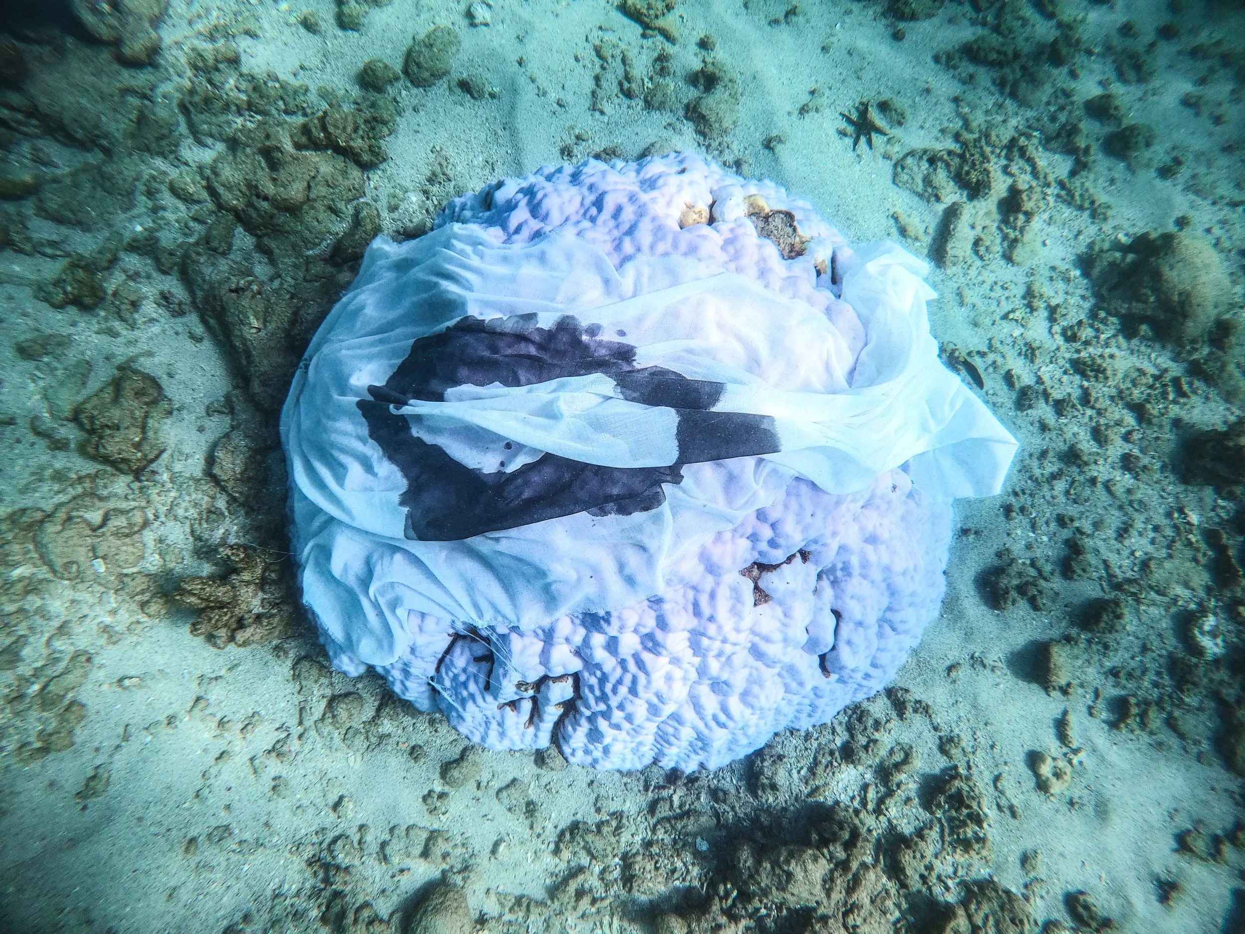 Holding The Reef 4