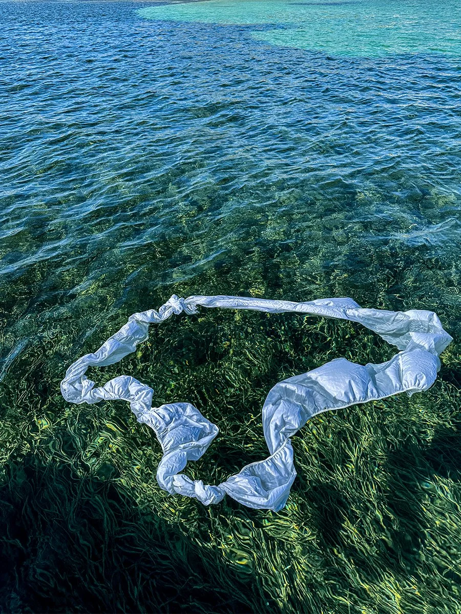 Caroline Christie-Coxon, Drifting Eden