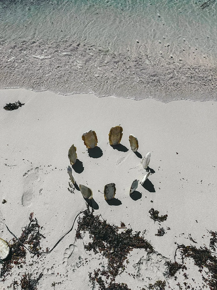 Cuttlefish Henge 4. Caroline Christie-Coxon 01.2024 - websize.jpg